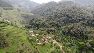 Four Gorillas Lodge View
