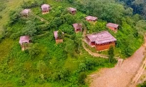 Four Gorillas Lodge - Luxury Bwindi Forest National Park