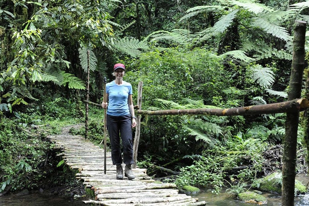 Hiking Experience in Bwindi National Park